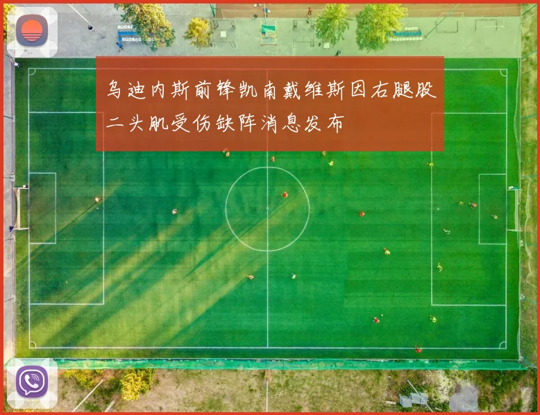 乌迪内斯前锋凯南戴维斯因右腿股二头肌受伤缺阵消息发布